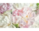 Hornbach Fototapete Vlies 18052 Blooming Peonies 7-tlg. 350 x 260 cm