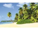 Hornbach Fototapete Vlies 18053 Exotic Palm Beach 7-tlg. 350 x 260 cm