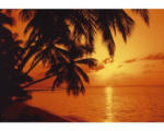 Hornbach Fototapete Vlies 18276 Tropic Sunset 7-tlg. 350 x 260 cm