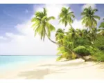 Hornbach Fototapete Vlies 18292 Beach South Seas 7-tlg. 350 x 260 cm