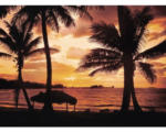 Hornbach Fototapete Vlies 18305 Palm Beach at Dusk 7-tlg. 350 x 260 cm
