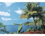 Hornbach Fototapete Vlies 18308 St. Lucia 7-tlg. 350 x 260 cm