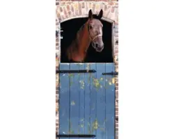 Fototapete Vlies 19508 Türtapete Horse 2-tlg. 90 x 200 cm