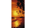 Hornbach Fototapete Vlies 19529 Türtapete Sunny Palms 2-tlg. 90 x 200 cm