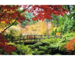 Hornbach Fototapete Papier 97017 Bridge Jap.Garden 2-tlg. 350 x 260 cm