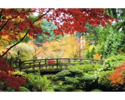 Fototapete Papier 97017 Bridge Jap.Garden 2-tlg. 350 x 260 cm