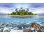 Hornbach Fototapete Papier 97025 Marine Life Maldives 7-tlg. 350 x 260 cm