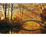 Hornbach Fototapete Papier 97027 Misty Park Bridge 7-tlg. 350 x 260 cm