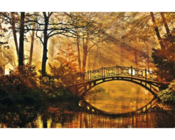 Fototapete Papier 97027 Misty Park Bridge 7-tlg. 350 x 260 cm