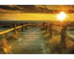 Hornbach Fototapete Papier 97030 Sunset Beach 7-tlg. 350 x 260 cm
