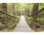 Hornbach Fototapete Papier 97047 Suspension Bridge 7-tlg. 350 x 260 cm