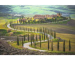 Hornbach Fototapete Papier 97048 Fields in Tuscany 7-tlg. 350 x 260 cm