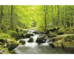 Hornbach Fototapete Papier SoFototapete Water Stream 350 x 260 cm