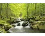 Hornbach Fototapete Papier SoFototapete Water Stream 350 x 260 cm