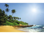 Hornbach Fototapete Papier 97069 Sri Lanka Beach 7-tlg. 350 x 260 cm