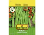 Hornbach Prunkbohne 'Lady Di' FloraSelf samenfestes Saatgut Gemüsesamen