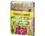 Hornbach Fleischfresser-Erde Floragard 3 L