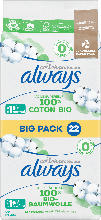 dm drogerie markt always Ultra Cotton Protection Binden Normal Big Pack