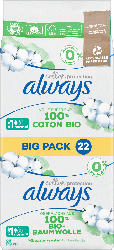 always Ultra Cotton Protection Binden Normal Big Pack