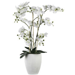 Kunstpflanze Phalänopsis I in Weiß