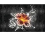 Hornbach Fototapete Vlies 1107 VEXXL Blume Feuer 312 x 219m 3-tlg. 312 x 219 cm