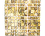 Hornbach Muschelmosaik SM 2569 30,0x30,0 cm braun