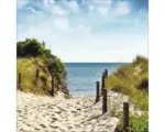Hornbach Glasbild Summer Breeze I 30x30 cm