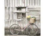 Hornbach Glasbild Vegetable Bicycle30x30 cm
