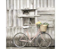 Glasbild Vegetable Bicycle20x20 cm