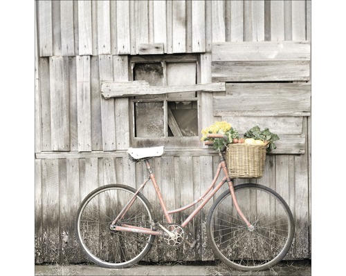 Glasbild Vegetable Bicycle20x20 cm