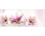 Hornbach Glasbild Magnolia 30x80 cm