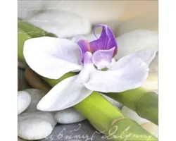 Glasbild Wellness III 30x30 cm