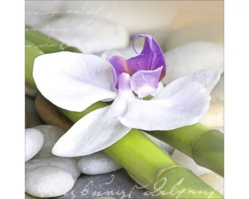 Glasbild Wellness III 30x30 cm