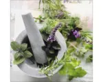 Hornbach Glasbild Herbage Pestle II50x50 cm
