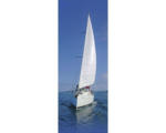 Hornbach Glasbild Sailing Trip IV 30x80 cm
