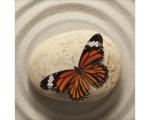 Hornbach Glasbild Butterfly II 30x30 cm
