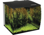 Hornbach Aquarium Fluval Flex 34 l mit LED-Beleuchtung, Filter, Pumpe ohne Unterschrank schwarz