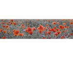 Hornbach Küchenrückwand mySpotti splash Poppy 2200x600x0,2 mm