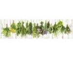 Hornbach Küchenrückwand mySpotti splash Hanging Herbs 2200x600x0,2 mm