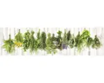 Hornbach Küchenrückwand mySpotti splash Hanging Herbs 2200x600x0,2 mm