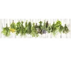 Küchenrückwand mySpotti splash Hanging Herbs 2200x600x0,2 mm