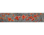 Hornbach Küchenrückwand mySpotti splash Poppy 2800x600x0,2 mm