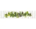 Hornbach Küchenrückwand mySpotti splash Hanging Herbs 2800x600x0,2 mm