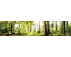 Küchenrückwand mySpotti splash Tree Crowns 2800x600x0,2 mm