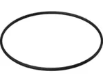 Hornbach O-Ring 70x2,5 für Dschrinnen Alca Plast AAPZ6 und APZ106
