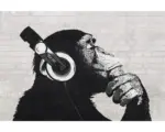 Hornbach Poster The Chimp Stereo II 61x91,5 cm