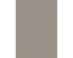 Klebefolie Lack uni taupe glänzend 45x200 cm
