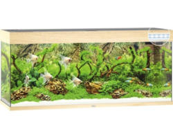 Aquarium JUWEL Rio 240 mit LED-Beleuchtung, Pumpe, Filter, Heizer ohne Unterschrank helles Holz