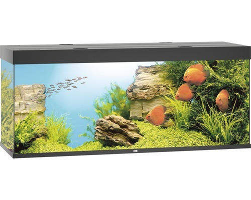 Aquarium JUWEL Rio 450 mit LED-Beleuchtung, Pumpe, Filter, Heizer ohne Unterschrank schwarz