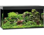 Hornbach Aquarium JUWEL Rio 350 mit LED-Beleuchtung, Pumpe, Filter, Heizer ohne Unterschrank schwarz